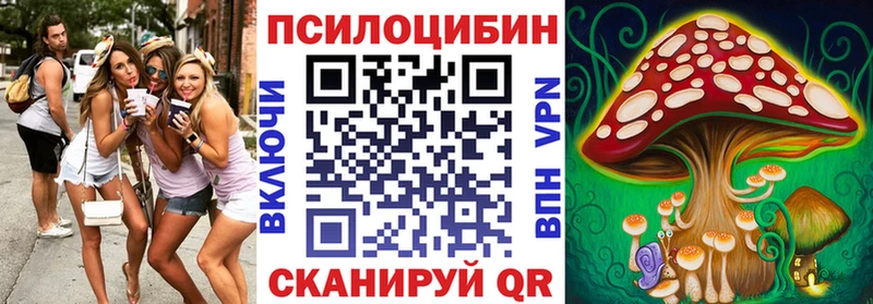 Купить  Губкин  Галлюциногенные грибы MAGIC MUSHROOMS 
